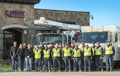 Tree Care Specialists
