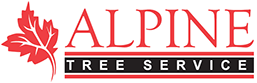 Tree Care Specialists