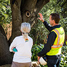 Tree Care Specialists