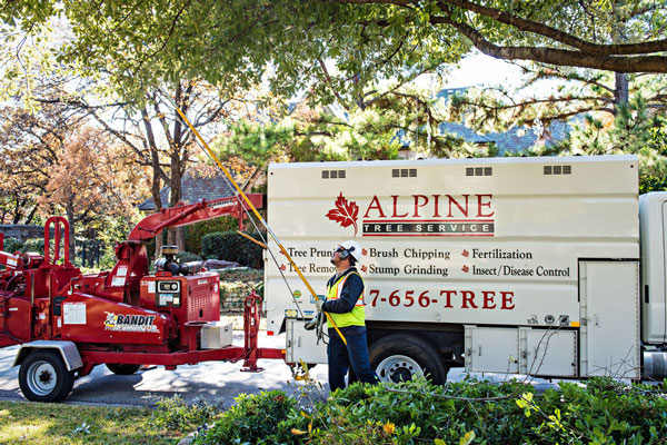 Tree Care Specialists