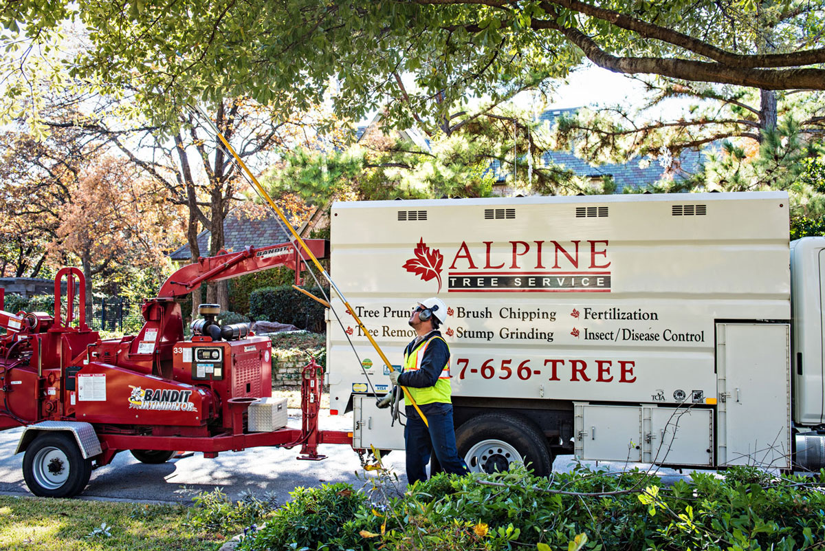 Tree Care Specialists