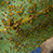 Alpine Tree Service