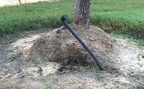 Tree Care Specialists