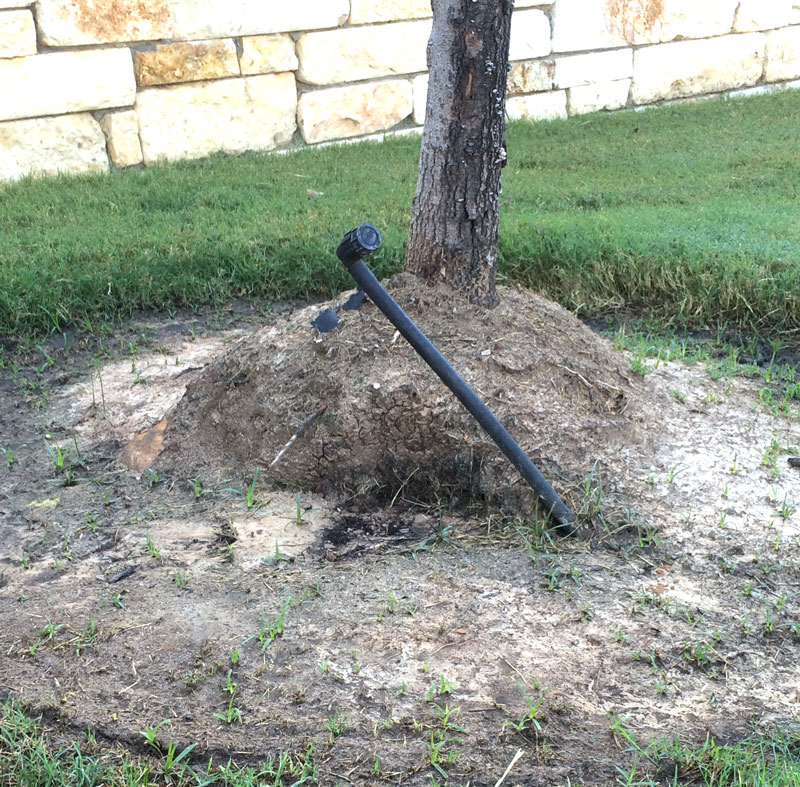 Tree Care Specialists