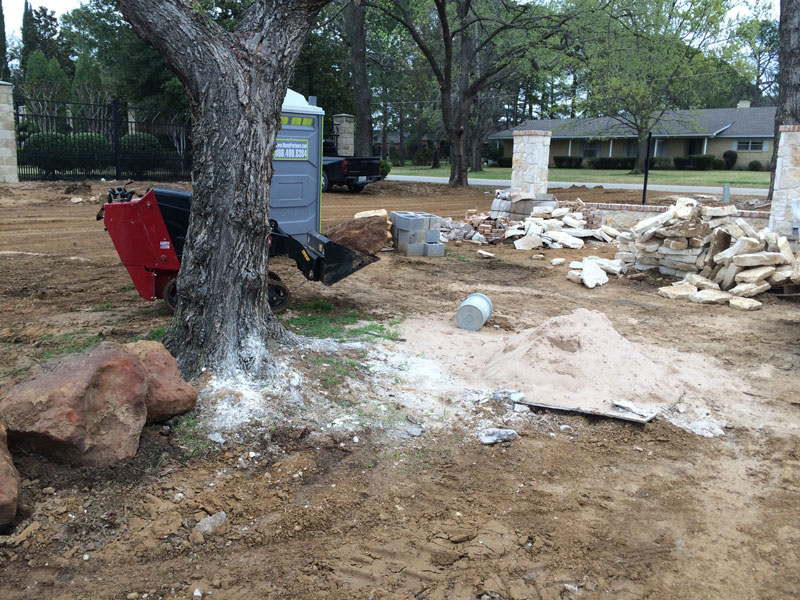 Tree Care Specialists