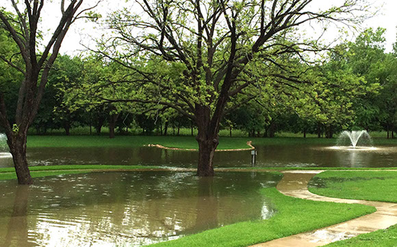 Tree Care Specialists