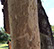 Alpine Tree Service